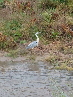 DSC_8754.JPG